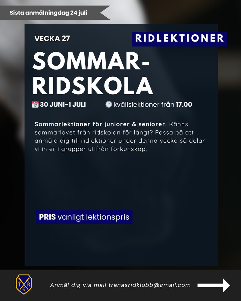 Ridläger 4